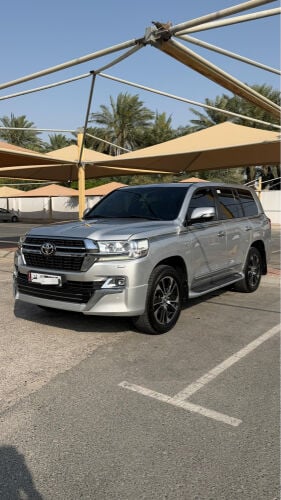 في اكس ار 2019