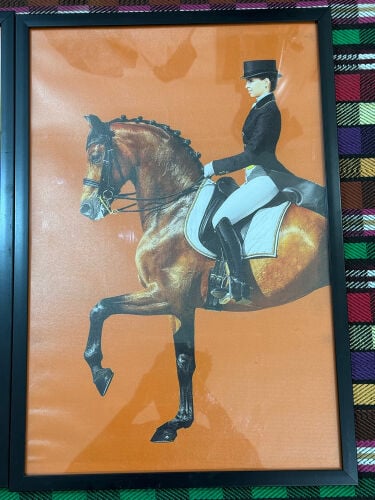 Dressage Horse and Rider in Orange.