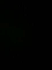 مقهوى/ سائق عنده ليست عماني