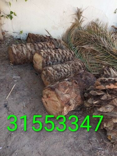 قص وتقطيع الأشجار