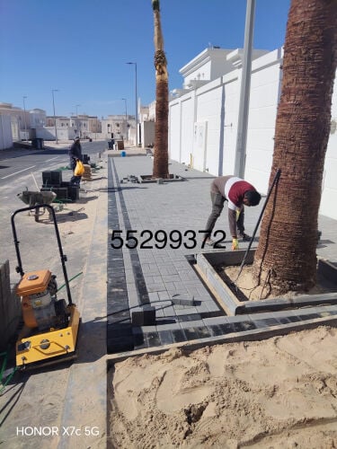 زراعة النخيل والإنتربول