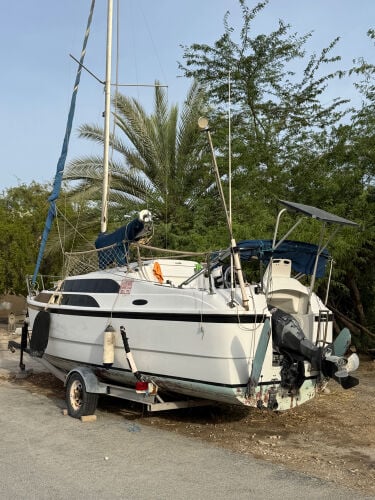mcreoger 26 for sale