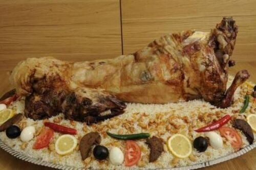 طباخ يبحث عن الشغل