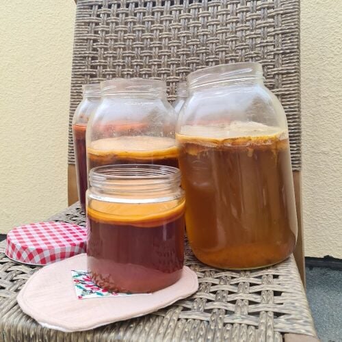 Natural Kombucha 100%   Easy Sta