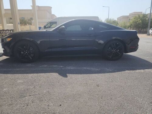 Mustang EcoBoost 2017