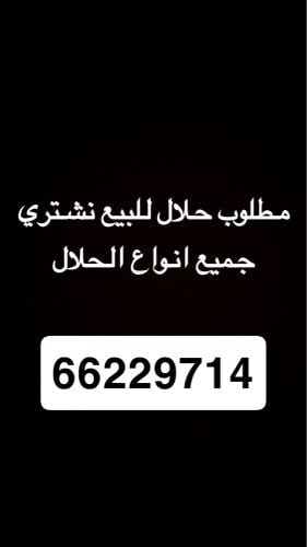 نشتري جميع انواع الغنم 