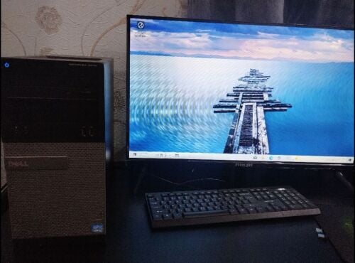 dell 3010
