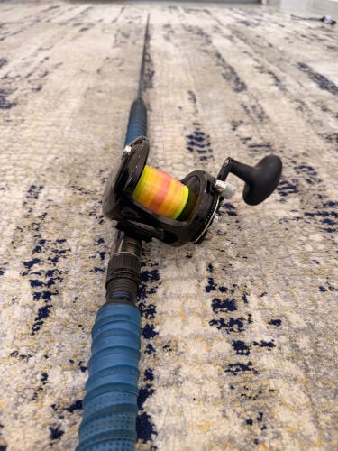 livebait setup reel Avet rod Okuma