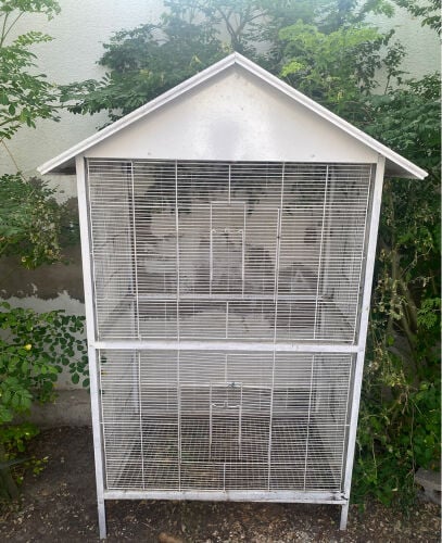 Bird Cage