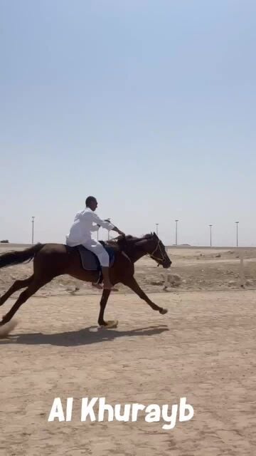 مجهول