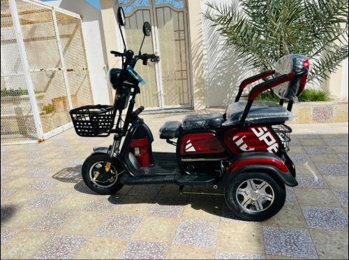 electric tri-scooter