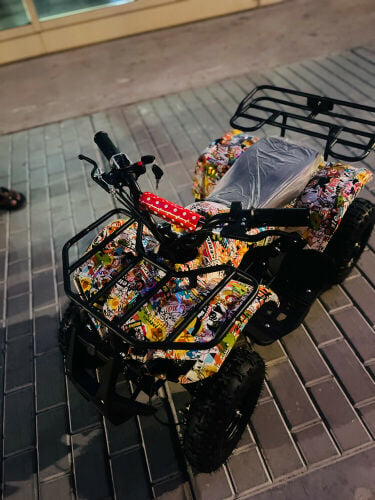 Electric Scooter 4 wheel