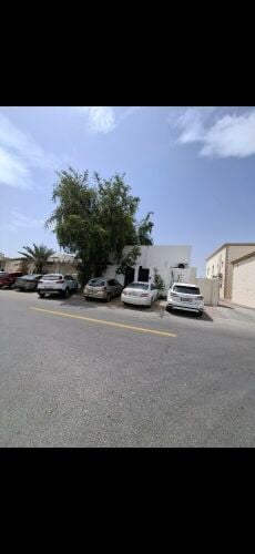بيت شعبي الريان استثمار