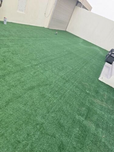 gass carpet