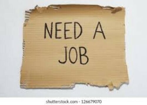 Lady needs job