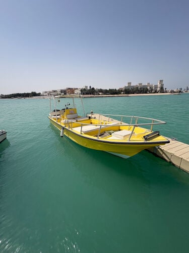 Leisure/Fishing boat 27ft