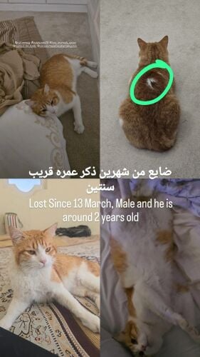 ضايع بالخريطيات (شوف الوصف)