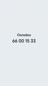 66 00 15 33