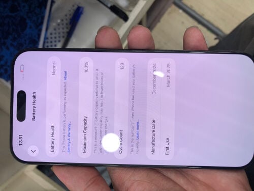 16 pro max 256gb 100% battery 