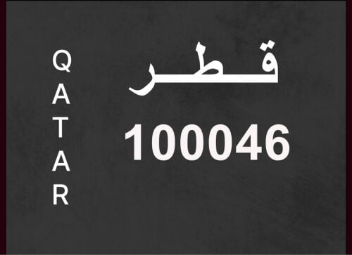 100046