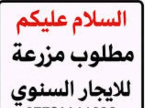 مطلوب مزرعه للإيجار بسعر طيب
