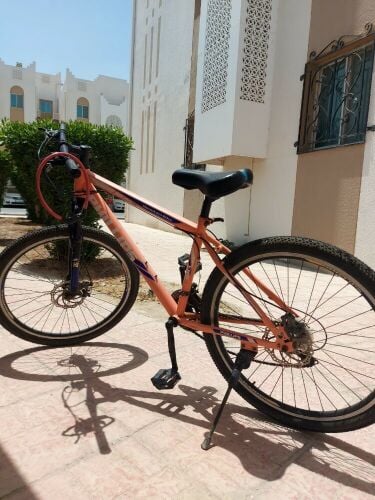 Phillips Mountain Bike