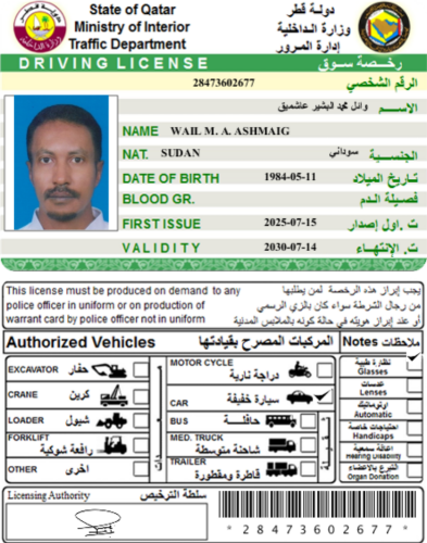 وائل محمد