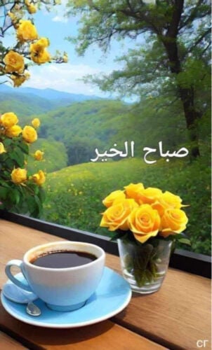 استقبال 