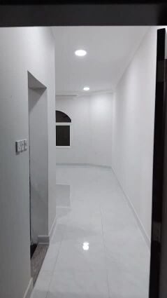 الخرطيات خلف تاي تايم استديو كبير