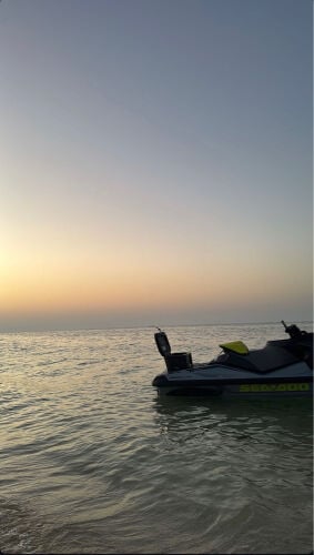 alkuwari