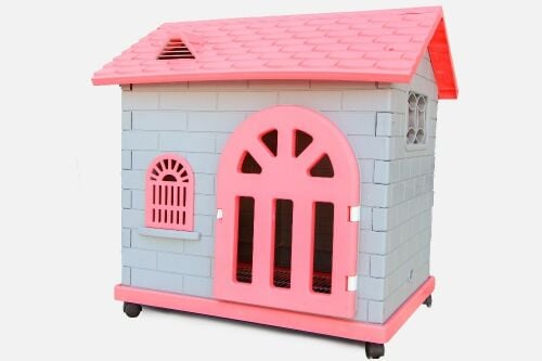 Cat and dog home