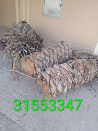 قص وتقطيع الأشجار