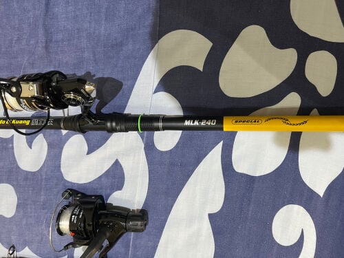 2 fishing poles and 2 spinning reel