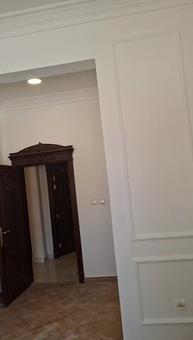 ديكورات الجبس والصبغ