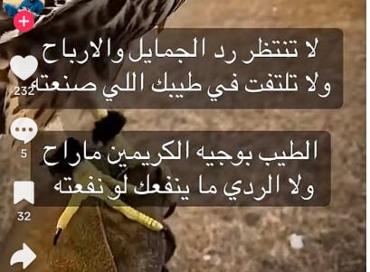 راشد