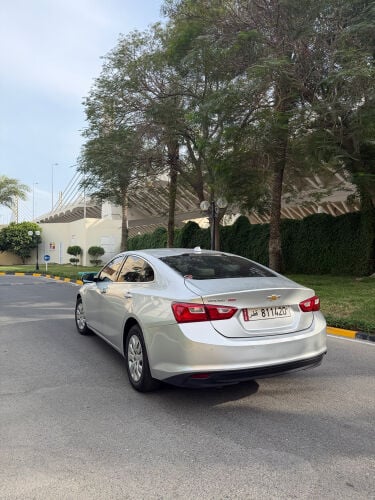 شيفورليه ماليبو ٢٠١٩