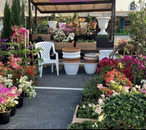 Agriculture Works and decor