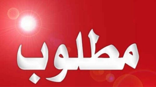 مطلوب شركة توصيل 