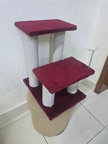 multi-level cat scratching