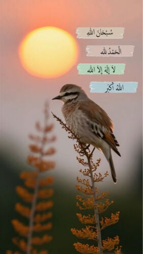 صالون نعومي 