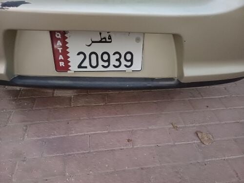 cat plate
