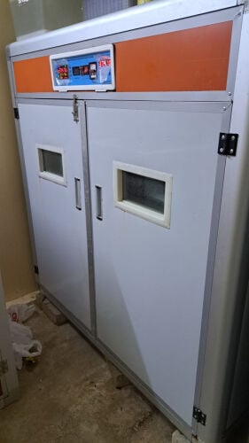 فقاسه 