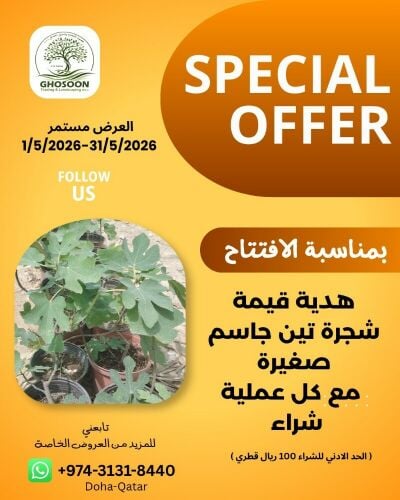 special offer