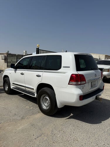 فكسار ٢٠١٠