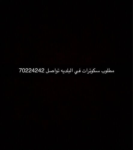 مطلوب سكوترات سبارك او ار اكس بي 