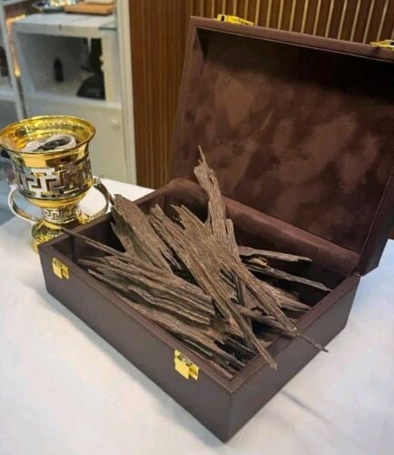 OUD