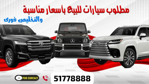 مطلوب سيارات بأسعار مناسبة 