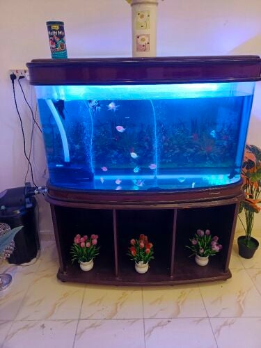 Aquarium for sale with filter