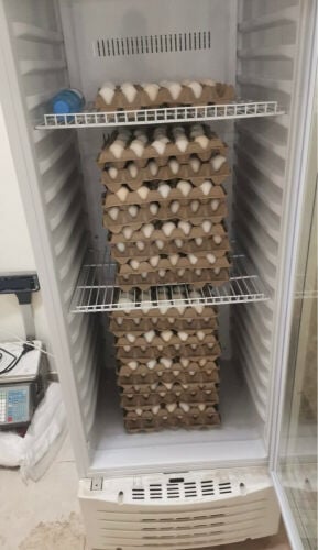 fresh local eggs daily