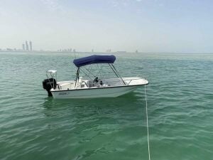 Boston whaler sport 150